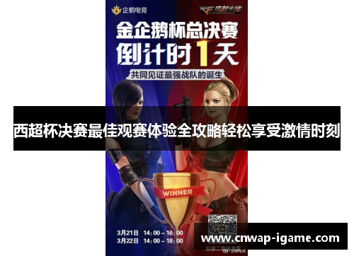 西超杯决赛最佳观赛体验全攻略轻松享受激情时刻