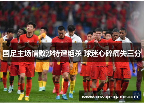 国足主场惜败沙特遭绝杀 球迷心碎痛失三分 国足主场惜败沙特遭绝杀 球迷心碎痛失三分